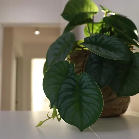 Cozy Oasis Vista Mare * Costa Adeje (Tenerife)